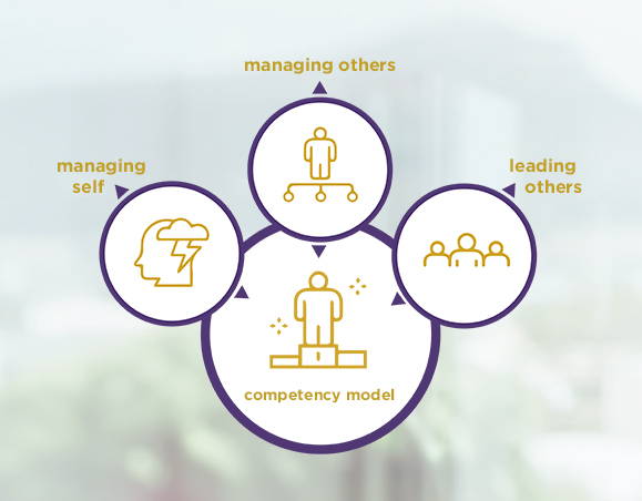the Bellevue University competency model